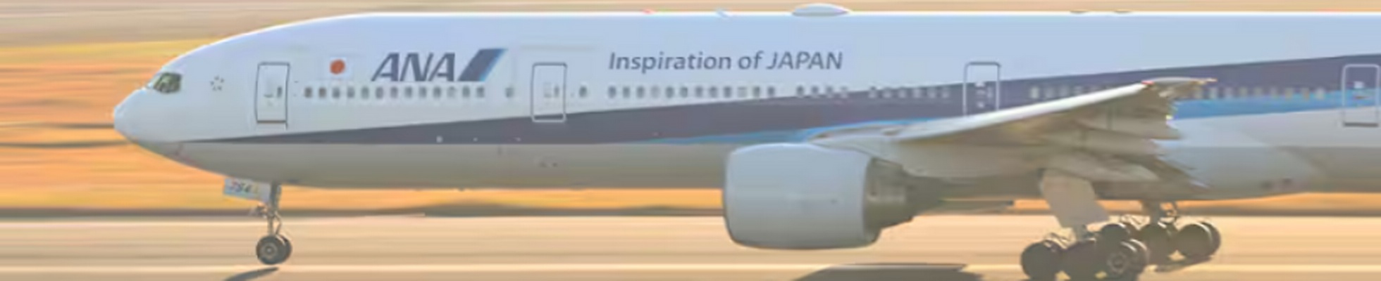 Company banner showing Visual Corporation branding