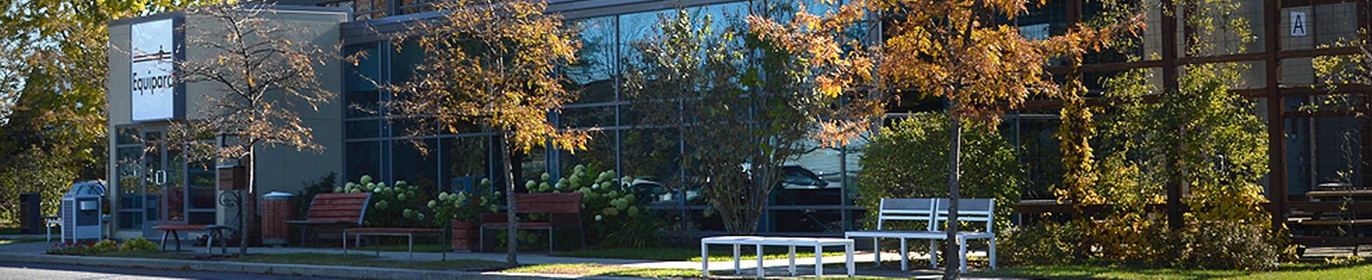 Company banner showing Visual Corporation branding