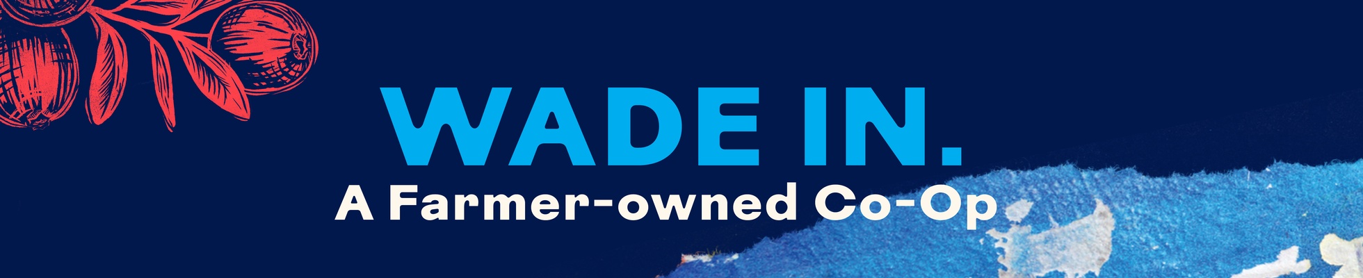 Company banner showing Visual Corporation branding