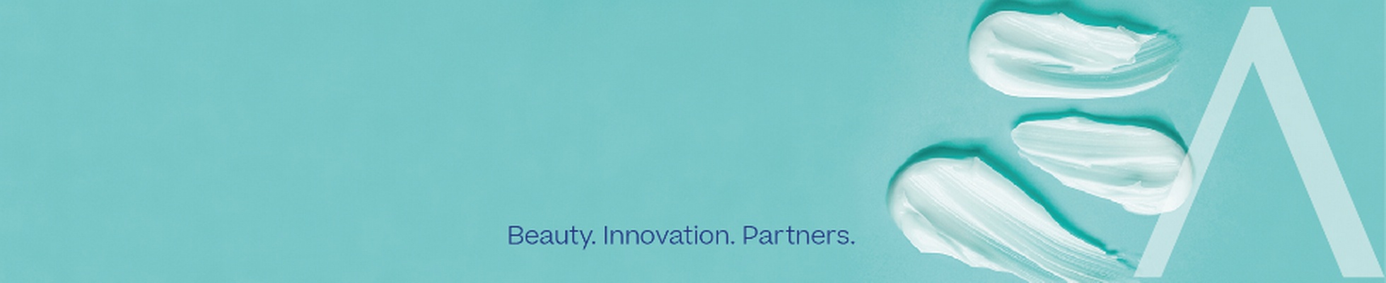 Company banner showing Visual Corporation branding