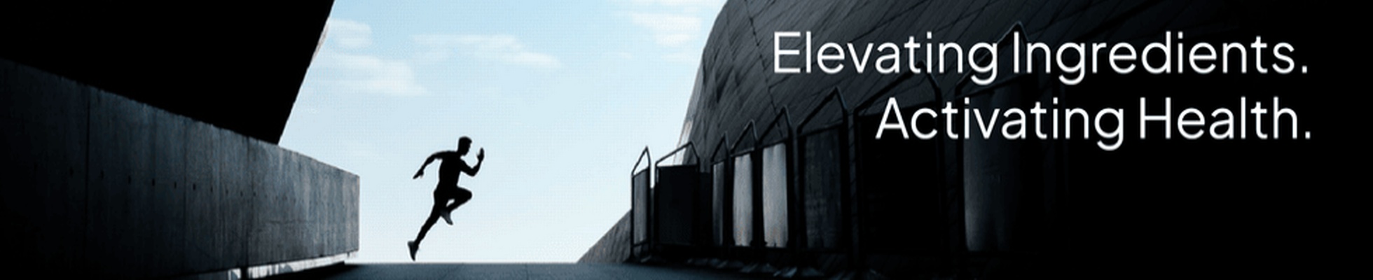Company banner showing Visual Corporation branding