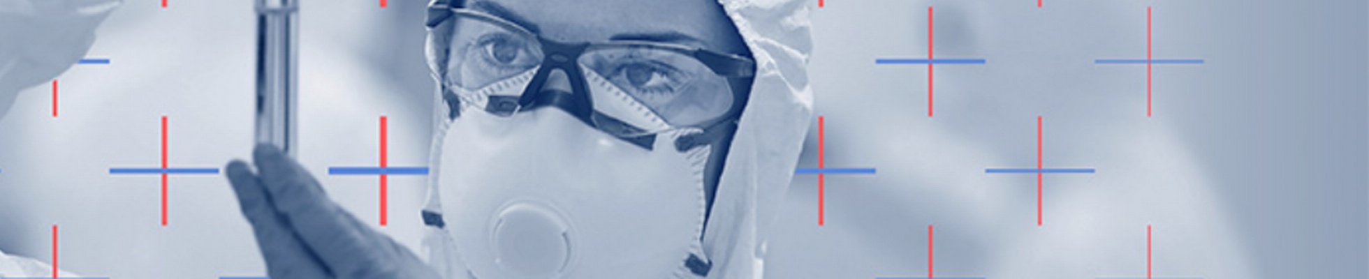 Company banner showing Visual Corporation branding