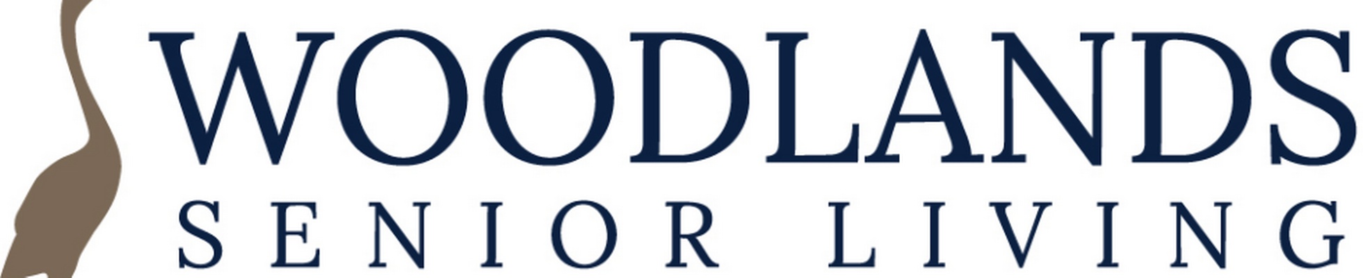 Company banner showing Visual Corporation branding
