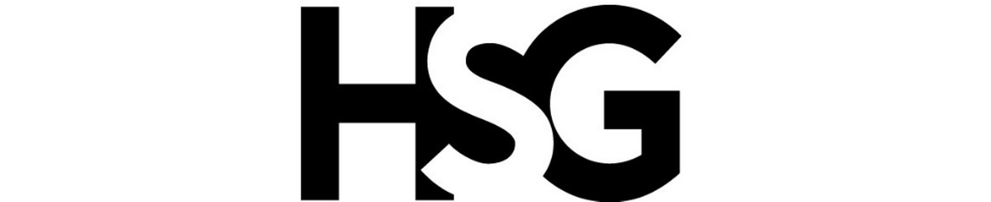 Company banner showing Visual Corporation branding
