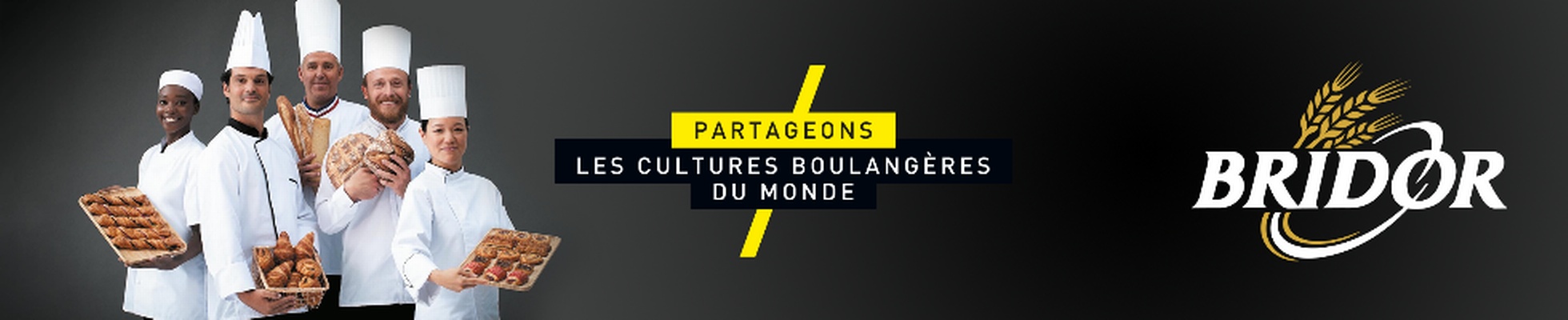 Company banner showing Visual Corporation branding