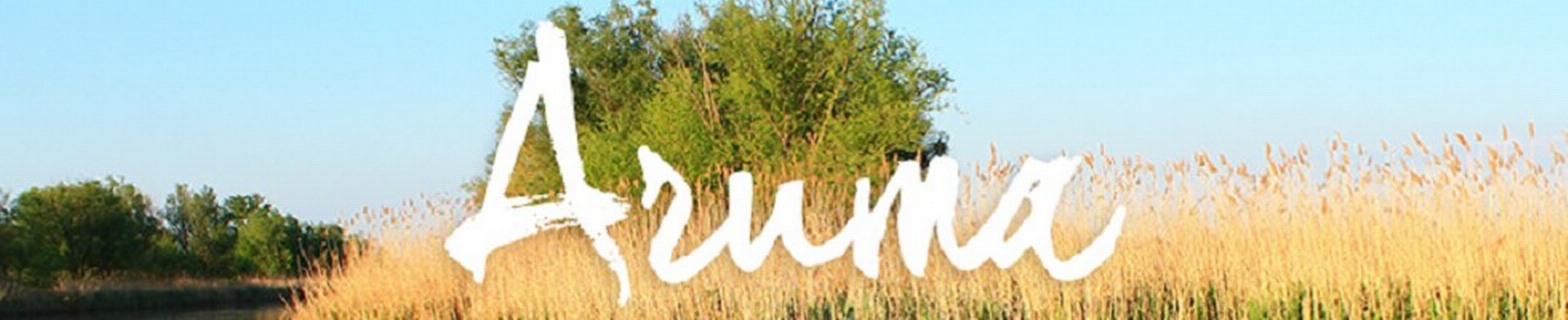 Company banner showing Visual Corporation branding