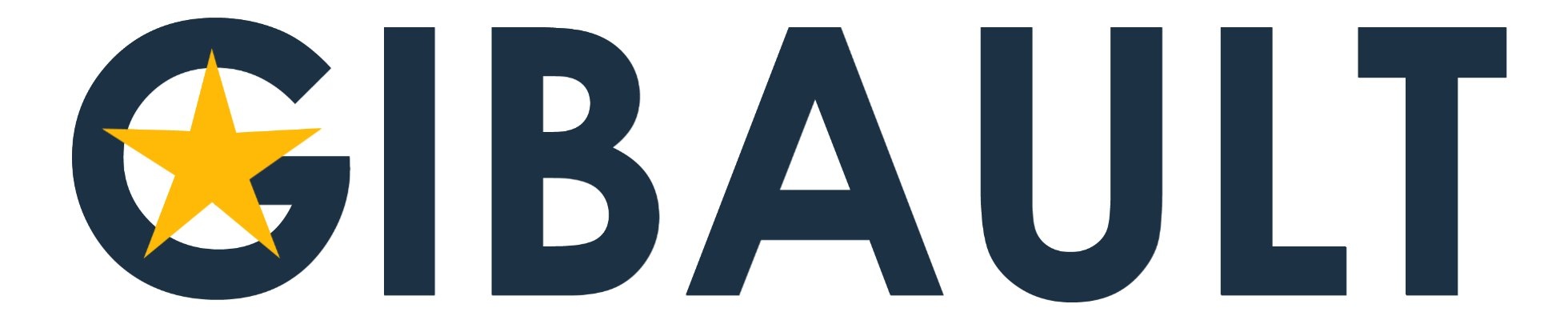 Company banner showing Visual Corporation branding