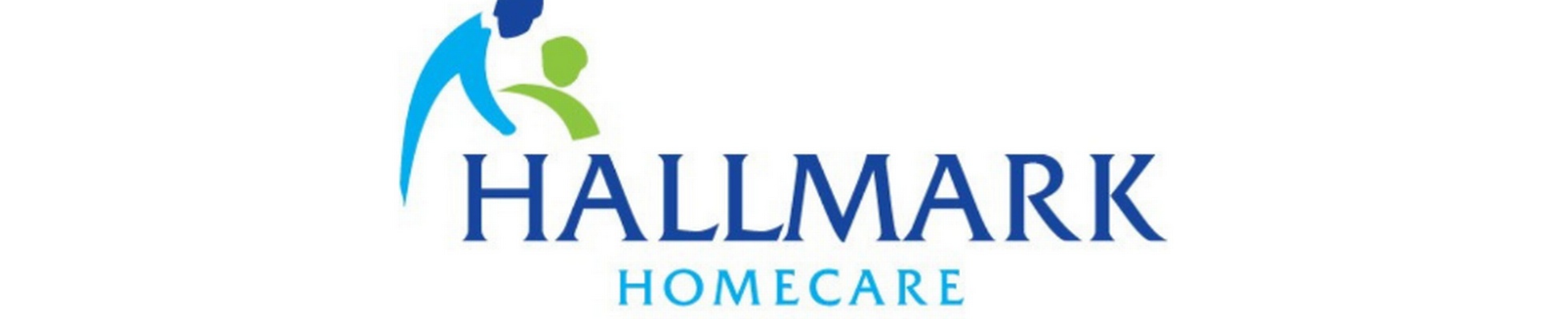 Company banner showing Visual Corporation branding