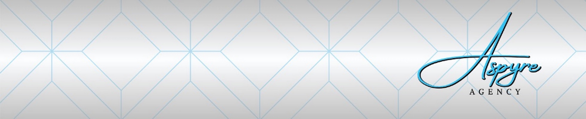 Company banner showing Visual Corporation branding