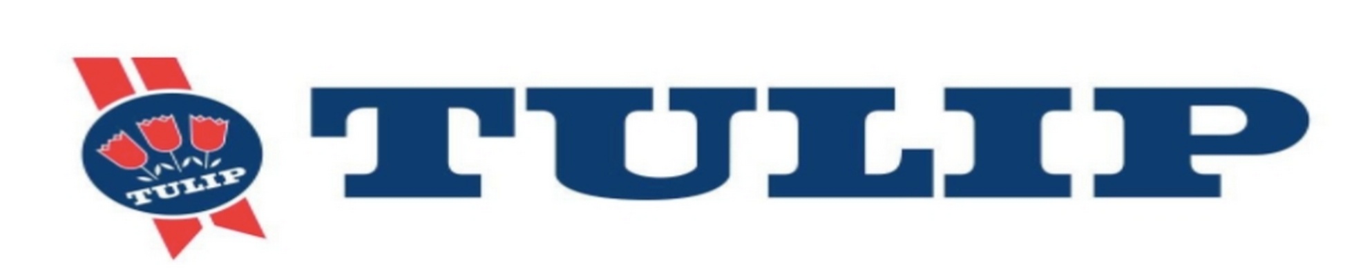 Company banner showing Visual Corporation branding