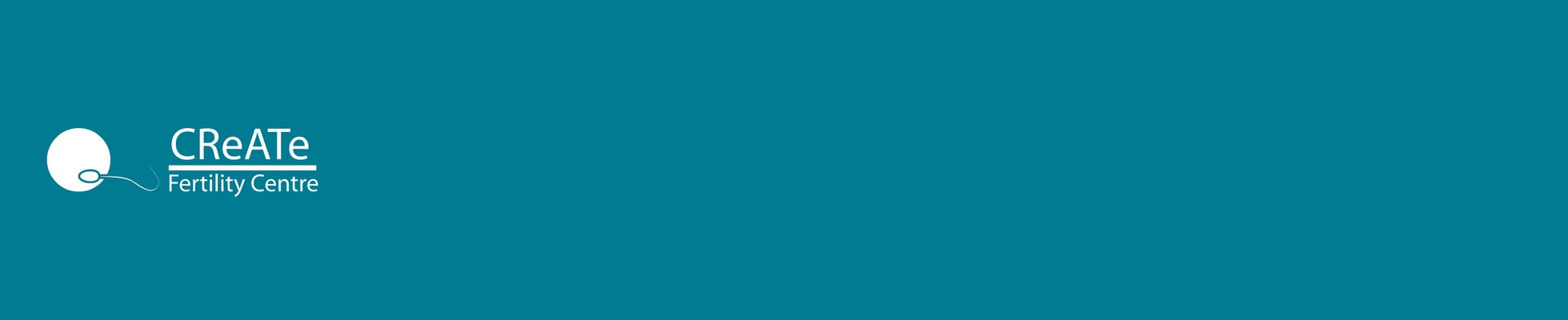 Company banner showing Visual Corporation branding
