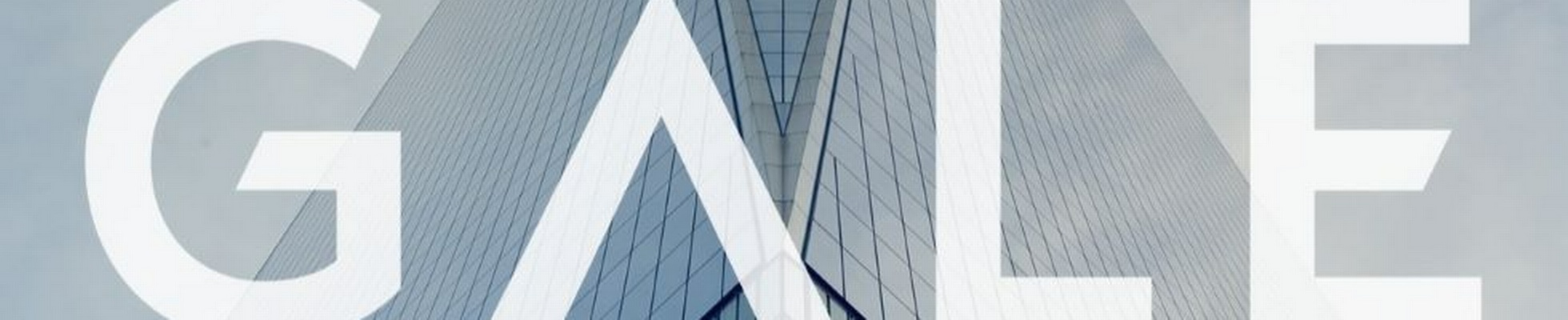 Company banner showing Visual Corporation branding