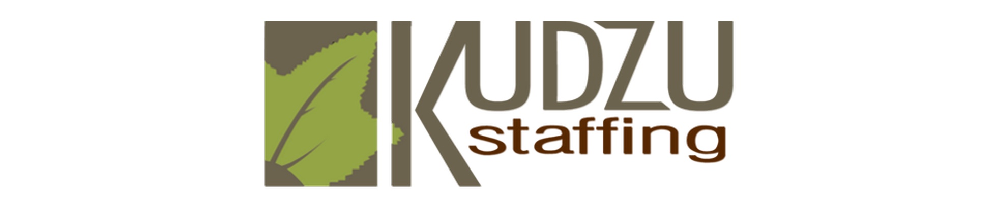 Company banner showing Visual Corporation branding
