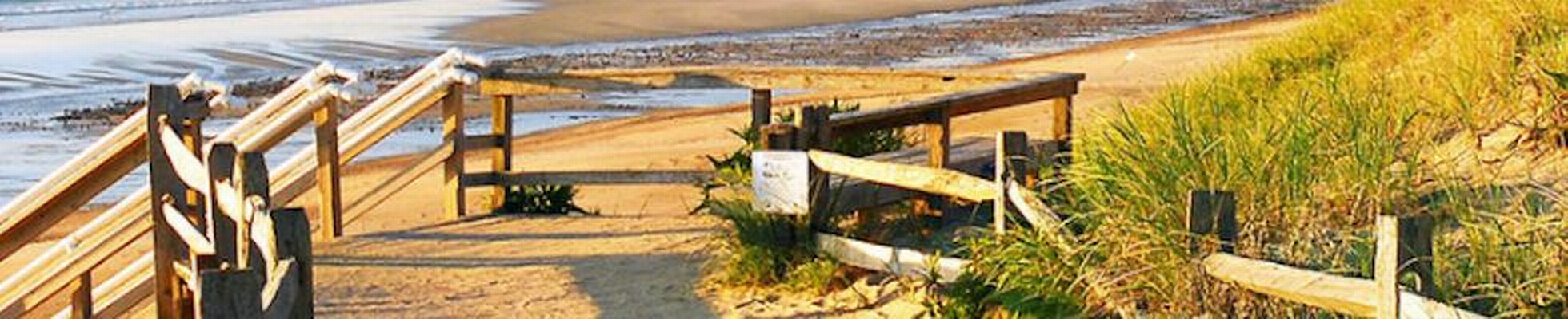 El Asuntol Sirve Para Los Piojos - 8cde3414dcef8dc2c6d8c0bb9b6029aa