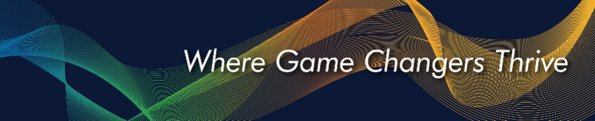 Company banner showing Visual Corporation branding