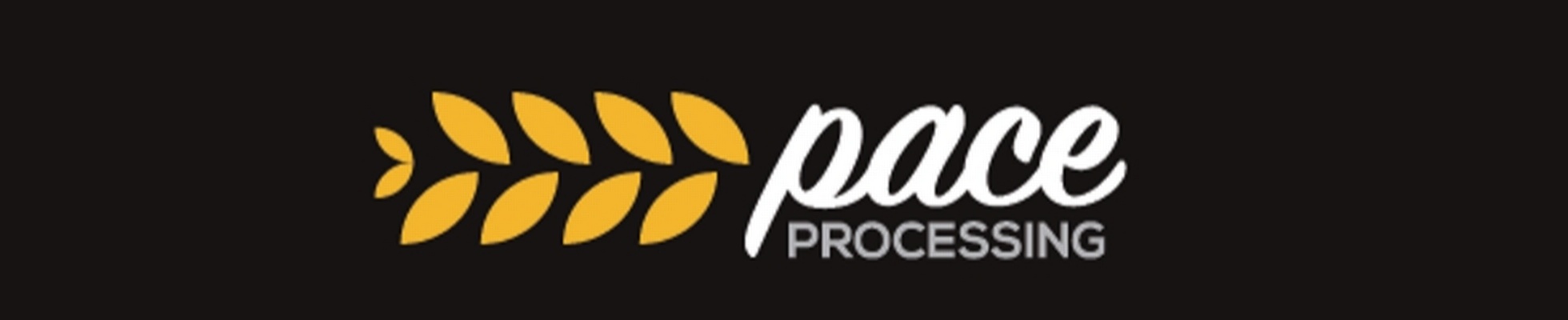 Company banner showing Visual Corporation branding