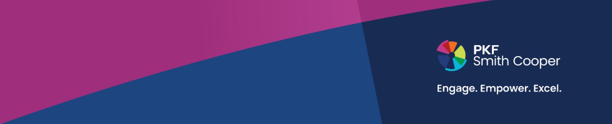 Company banner showing Visual Corporation branding