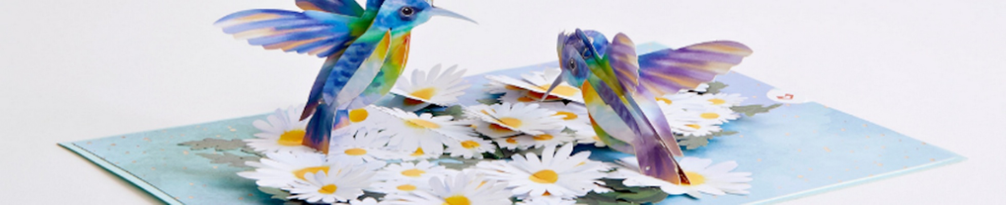 Company banner showing Visual Corporation branding