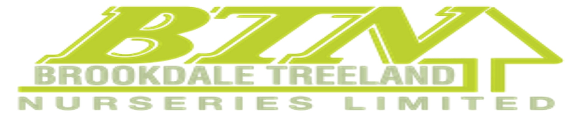 Company banner showing Visual Corporation branding