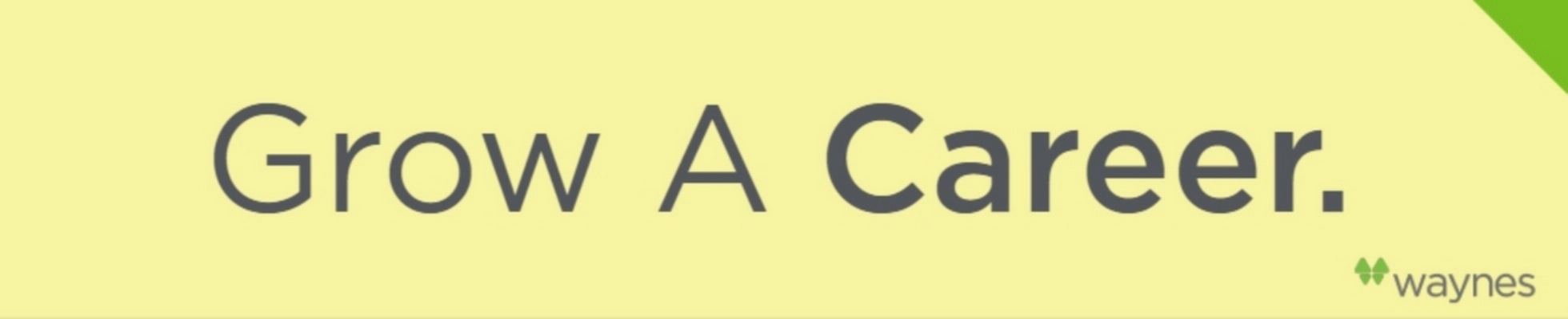 Company banner showing Visual Corporation branding