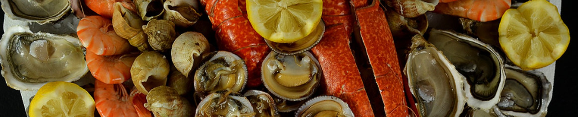 SAS POISSONNERIE ROBERT logo