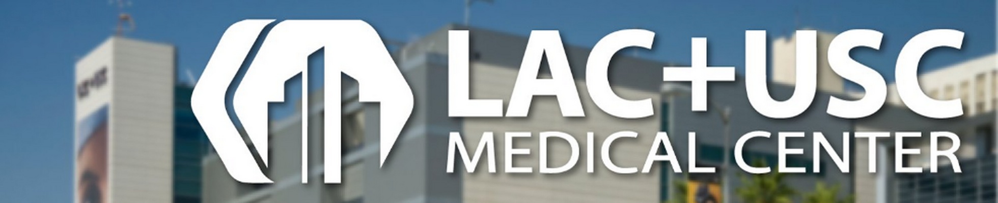 Company banner showing Visual Corporation branding