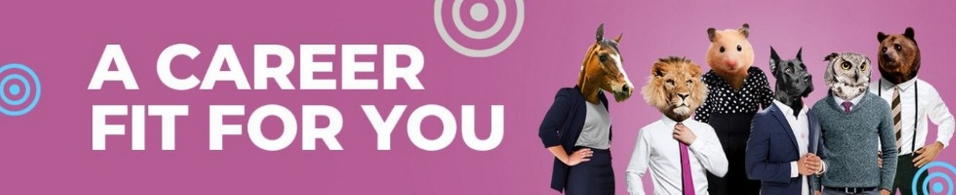 Company banner showing Visual Corporation branding