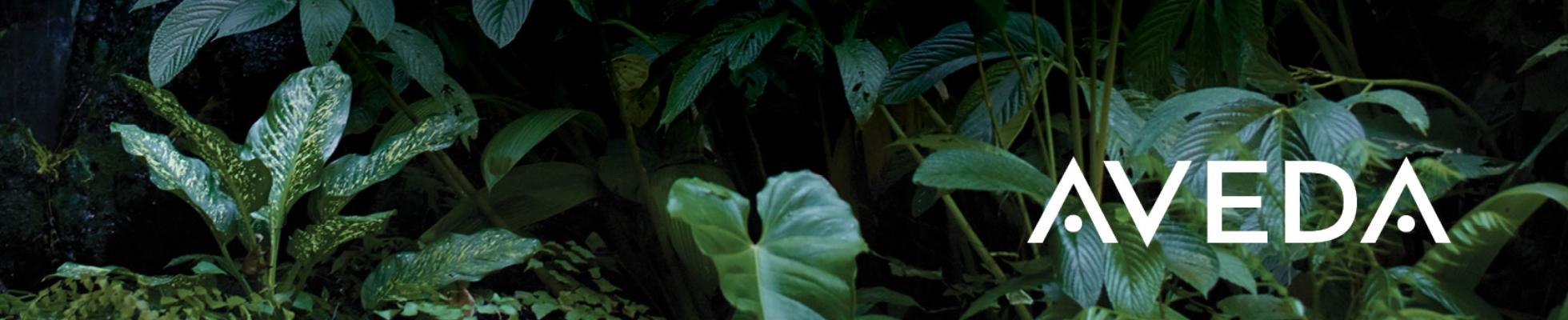 Company banner showing Visual Corporation branding