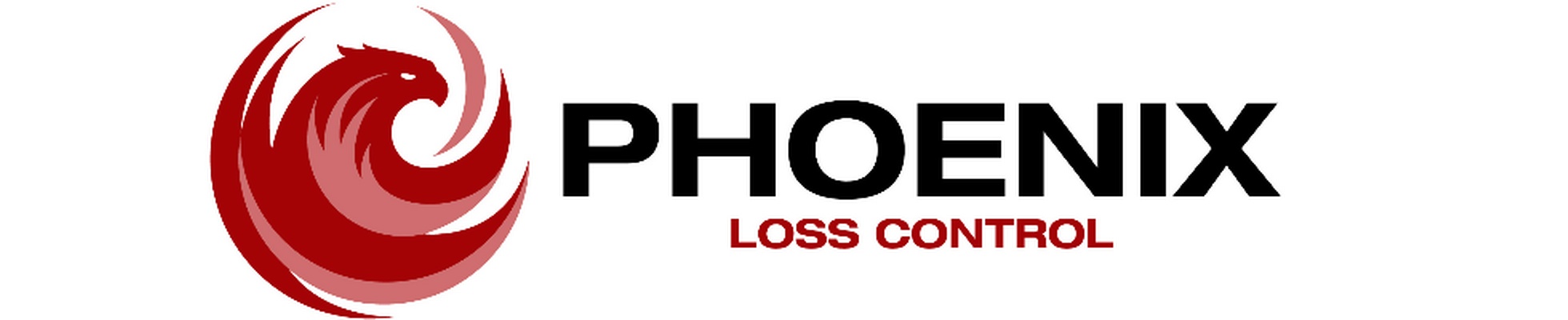 Company banner showing Visual Corporation branding