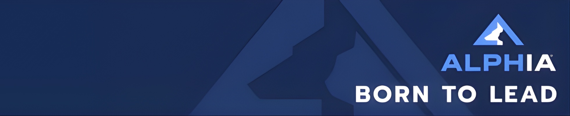 Company banner showing Visual Corporation branding