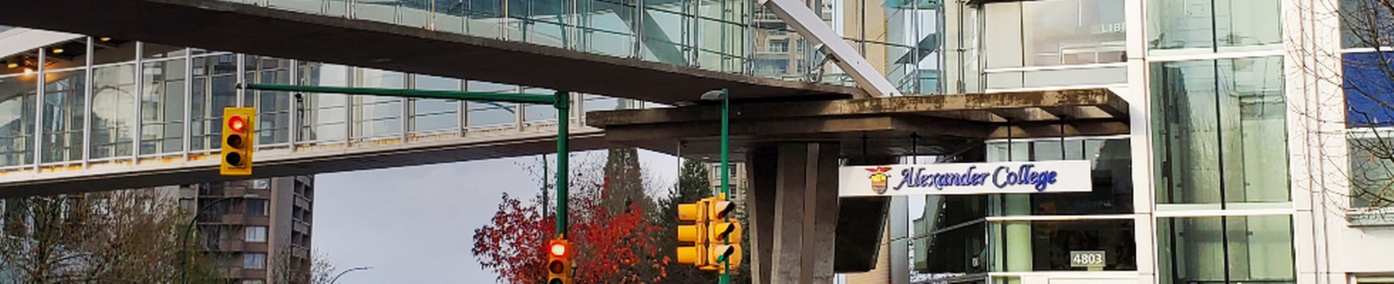 Company banner showing Visual Corporation branding