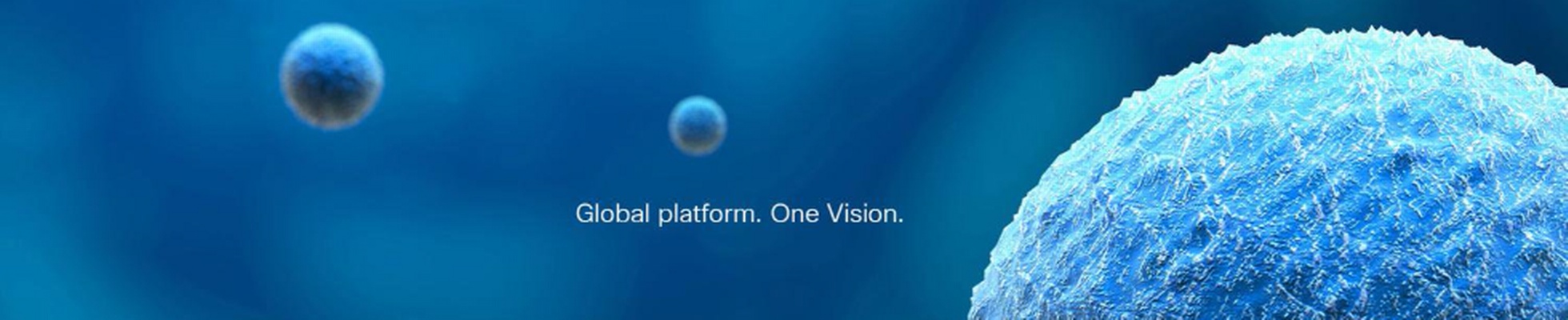 Company banner showing Visual Corporation branding