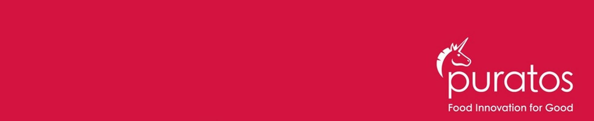 Company banner showing Visual Corporation branding