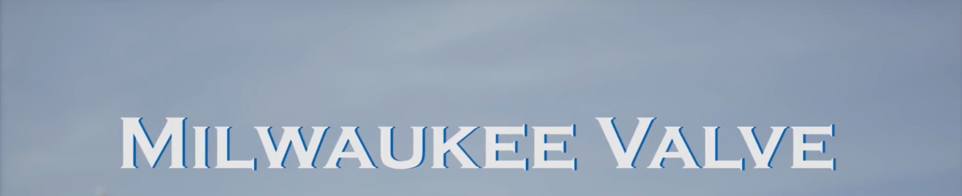 Company banner showing Visual Corporation branding