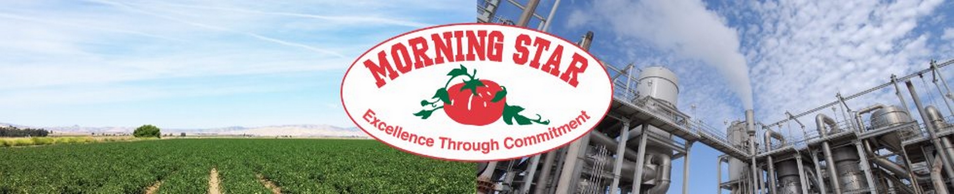 Company banner showing Visual Corporation branding