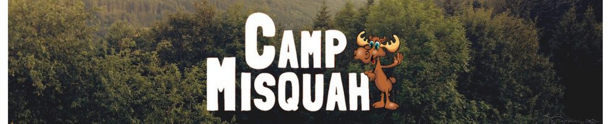 Company banner showing Visual Corporation branding