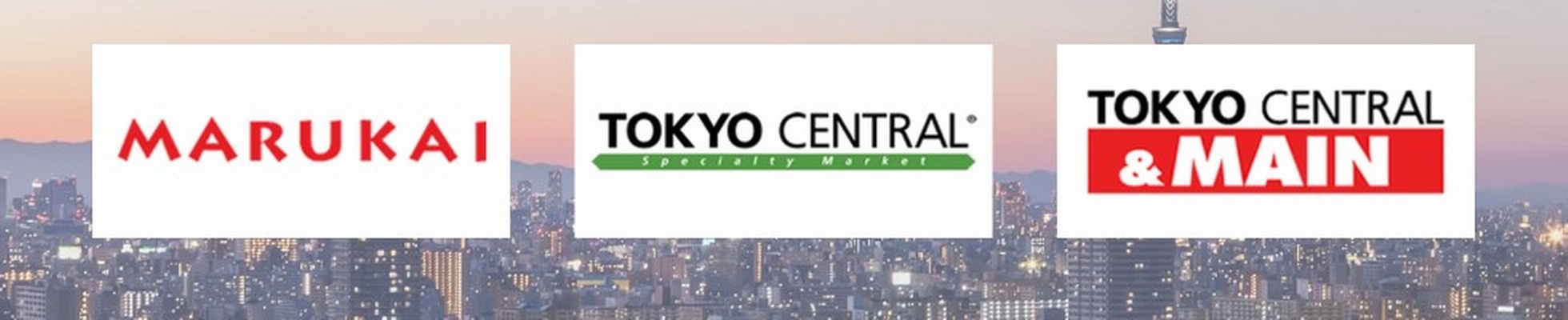 Company banner showing Visual Corporation branding