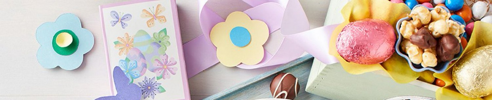 Company banner showing Visual Corporation branding