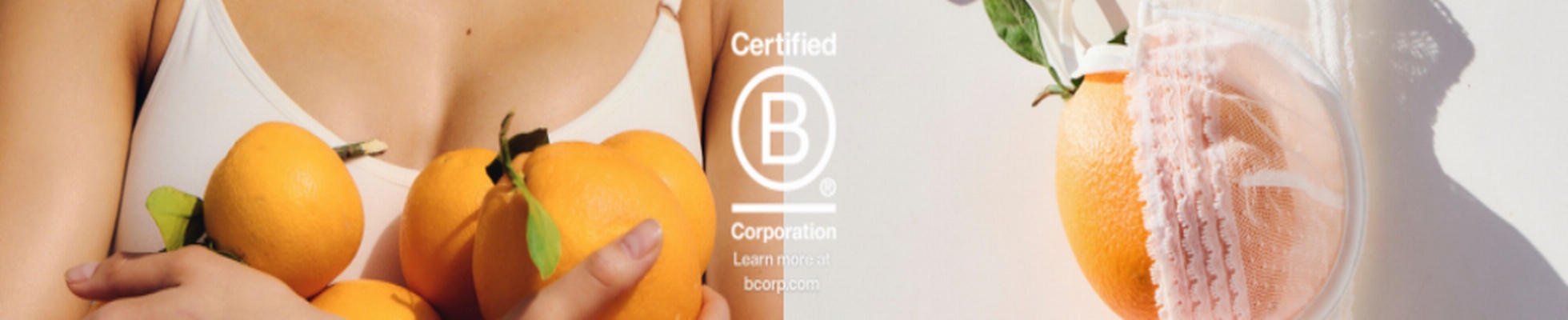 Company banner showing Visual Corporation branding