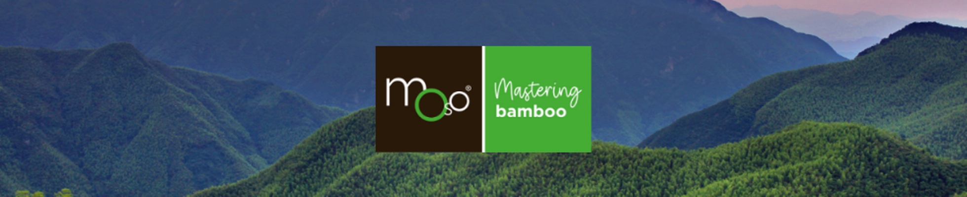 MOSO International BV logo