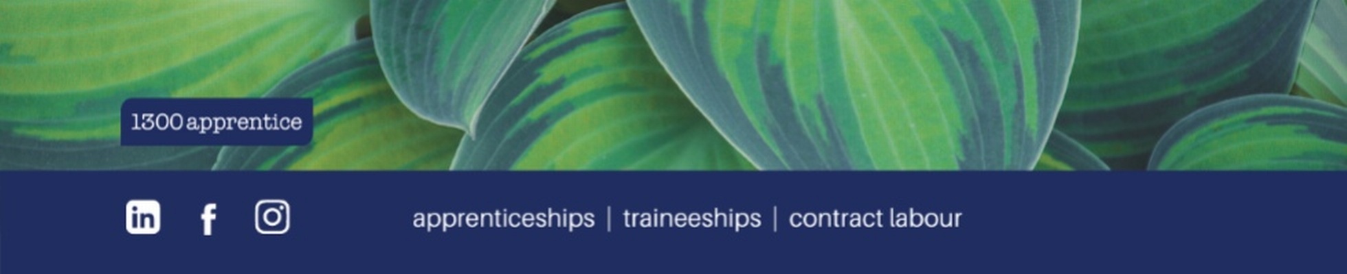 Company banner showing Visual Corporation branding