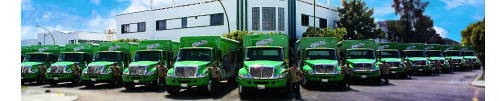 Company banner showing Visual Corporation branding