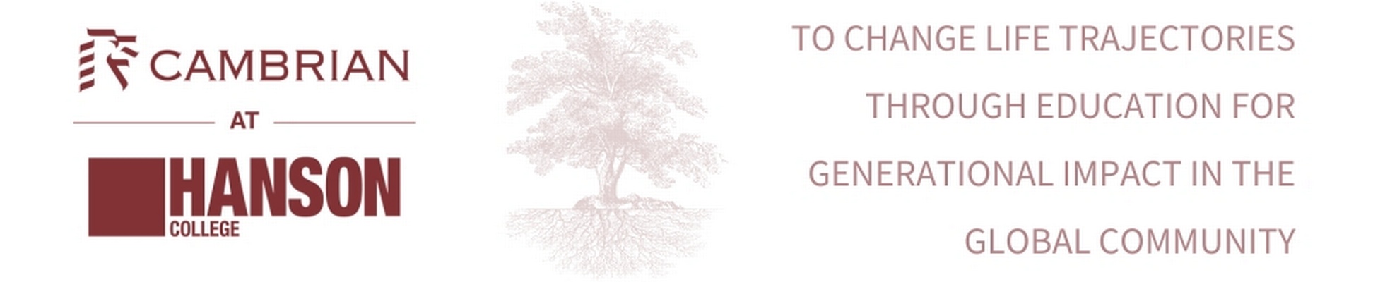 Company banner showing Visual Corporation branding