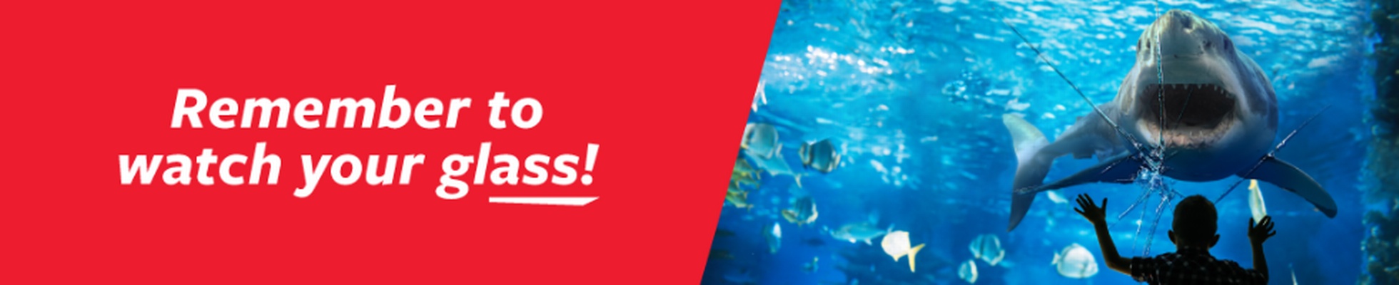 Company banner showing Visual Corporation branding