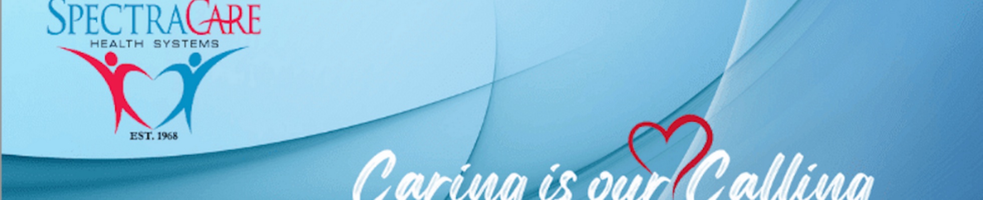 Company banner showing Visual Corporation branding
