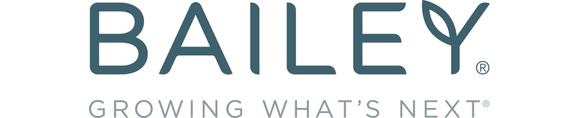 Company banner showing Visual Corporation branding