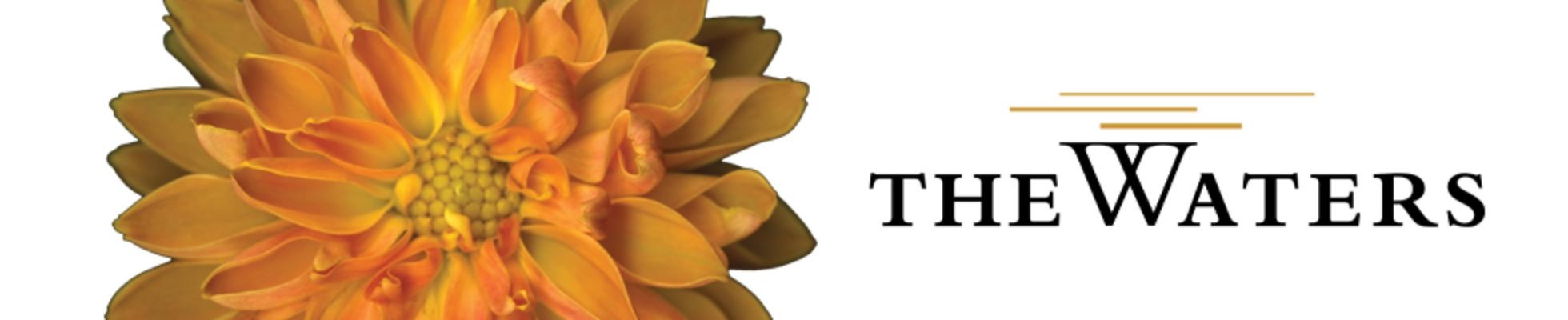 Company banner showing Visual Corporation branding
