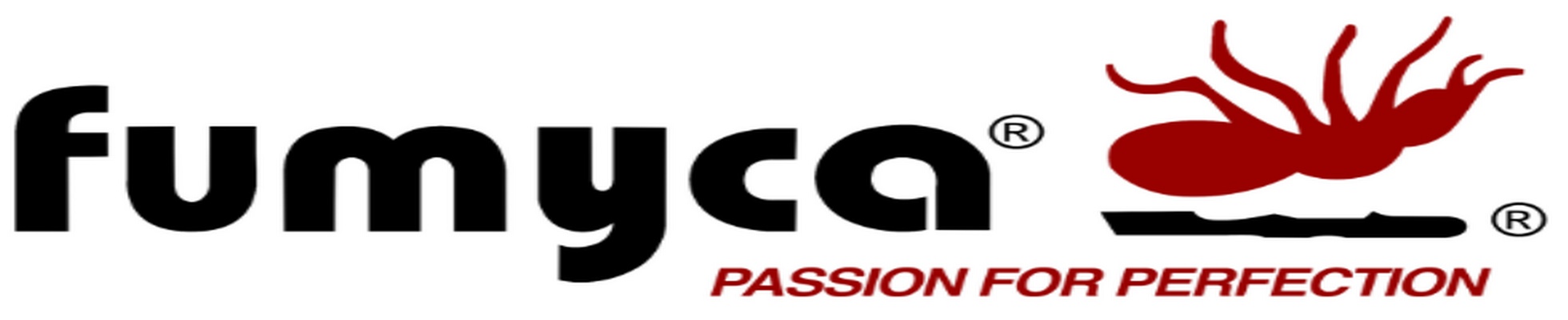 Company banner showing Visual Corporation branding