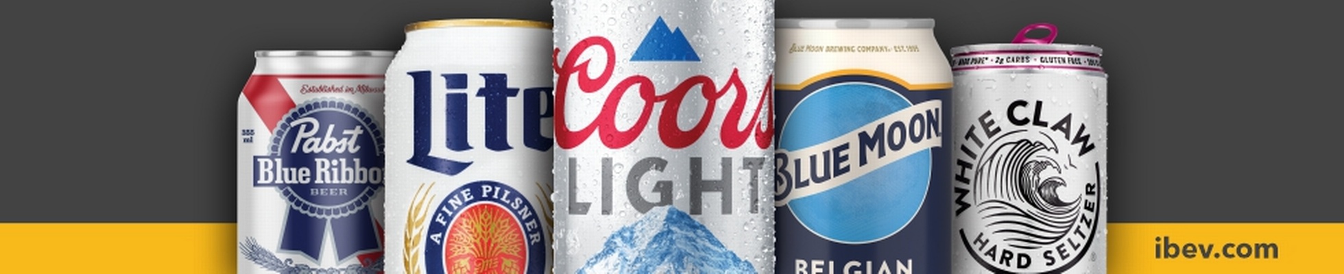 Company banner showing Visual Corporation branding
