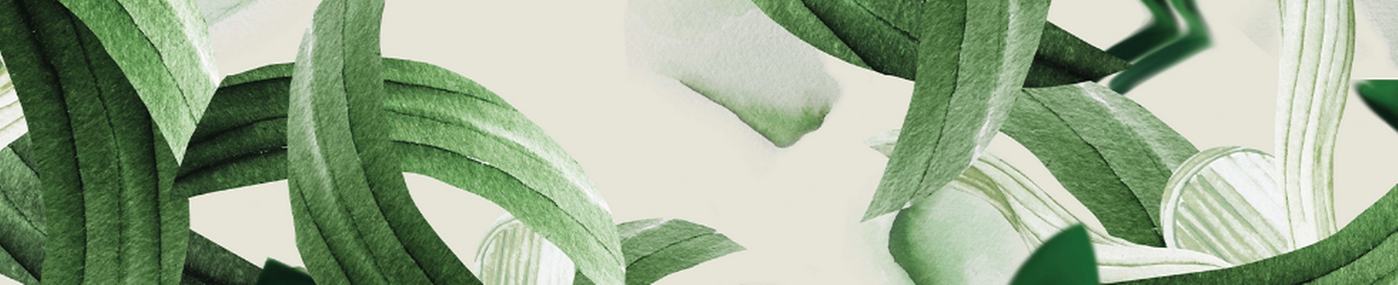Company banner showing Visual Corporation branding